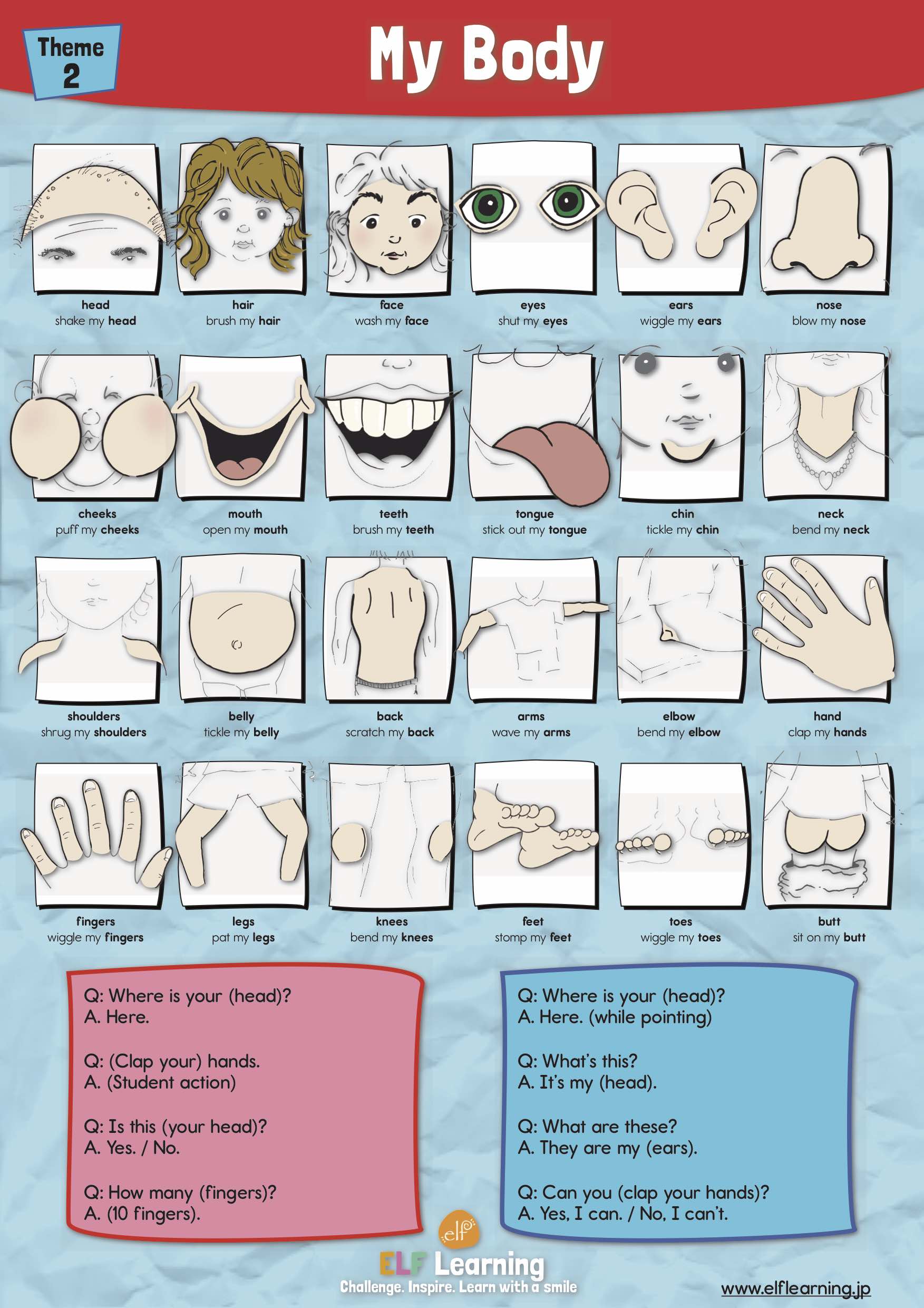 New English Adventure 2 My Body And Face Pre 1 and 2 Poster Bundle - ELF Learning